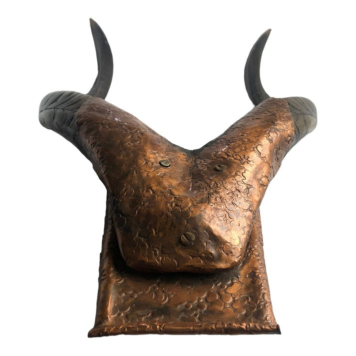 bottom view of Natural Antler Mount with Hammered Copper Surround