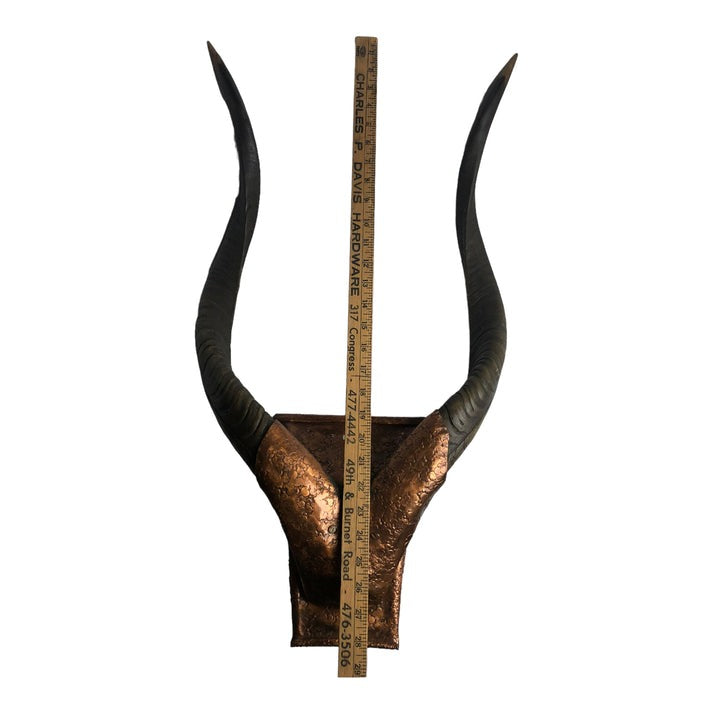 measurment view of Natural Antler Mount with Hammered Copper Surround