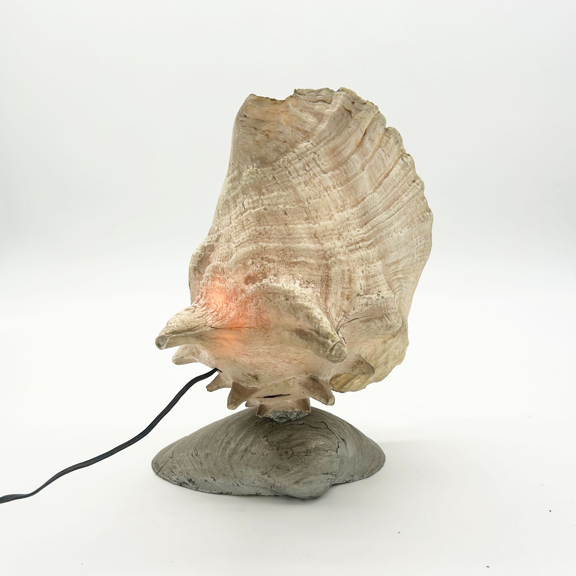 back side image of Vintage Carved Conch Shell Lamp