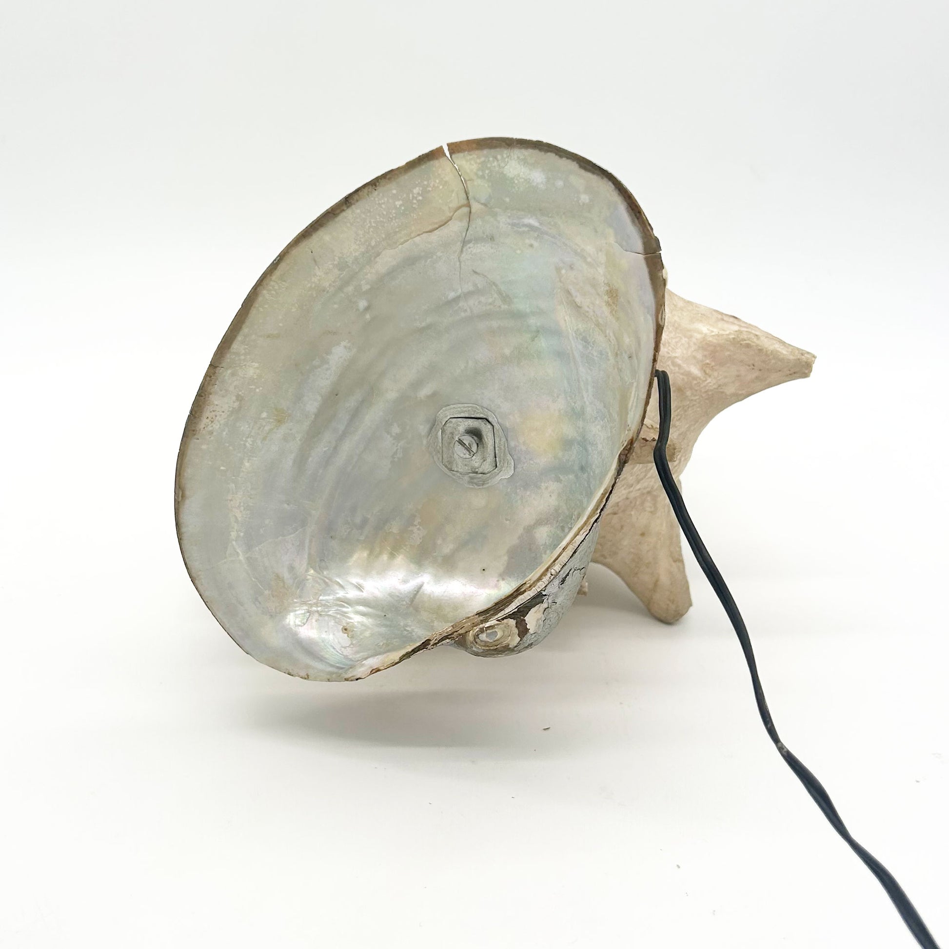 bottom detail of Vintage Carved Conch Shell Lamp